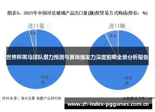 世界杯黑马球队潜力预测与赛场爆发力深度前瞻全景分析报告